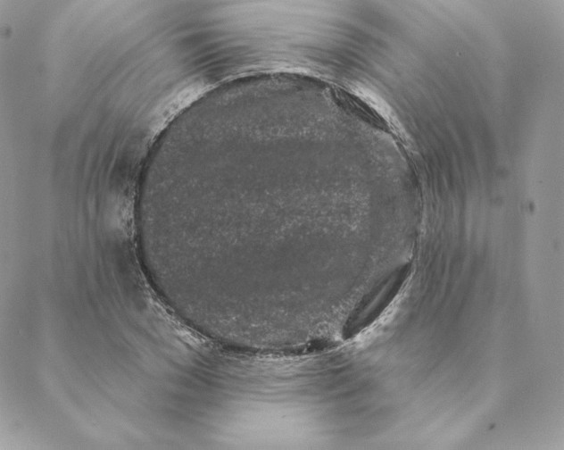 X0000088570977200706151642