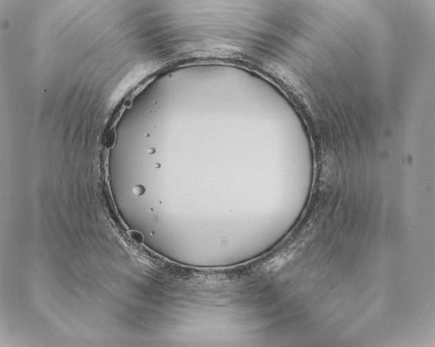 X0000088570978200706151642