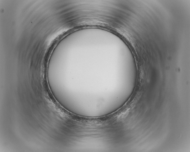 X0000088570979200706151642