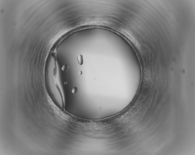 X0000088570980200706151642