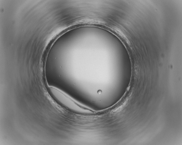 X0000088570981200706151642