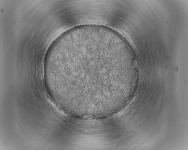 X0000088570982200706151642