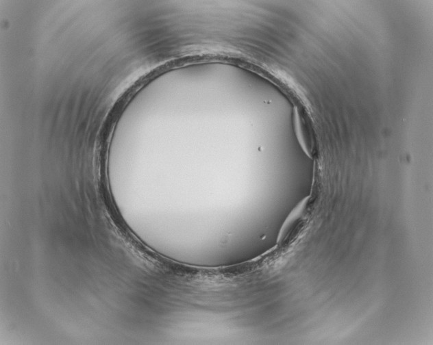 X0000088570983200706151642