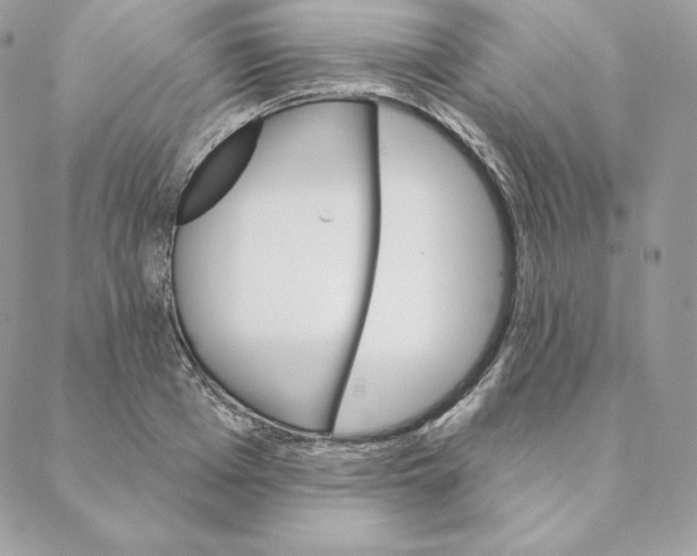 X0000088570985200706151642