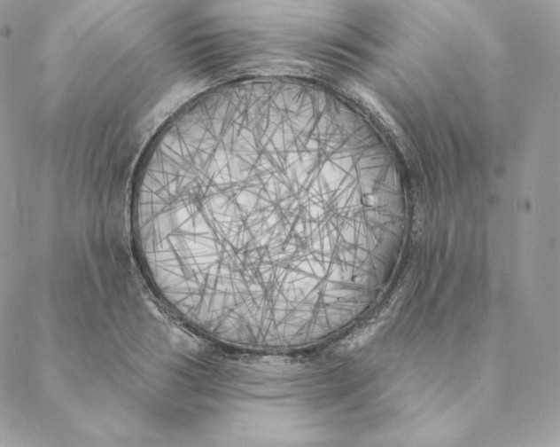 X0000088570986200706151642