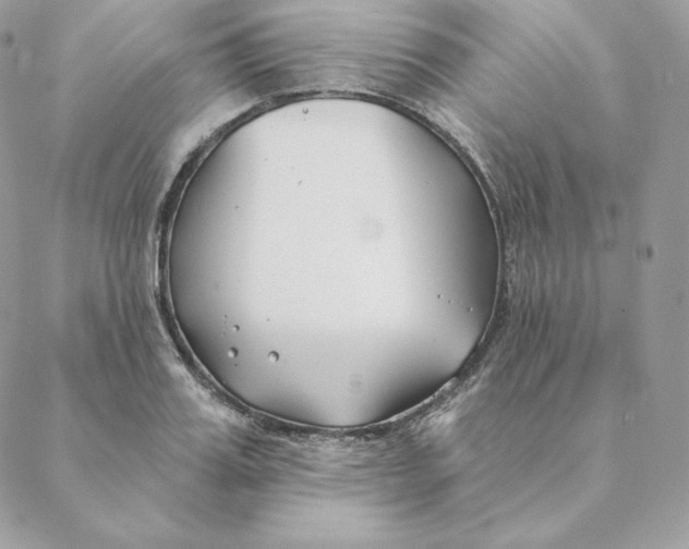 X0000088570987200706151642