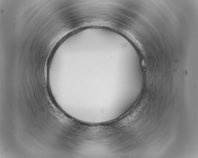 X0000088570988200706151642