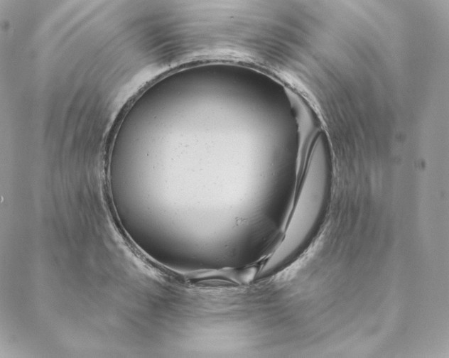 X0000088570989200706151642