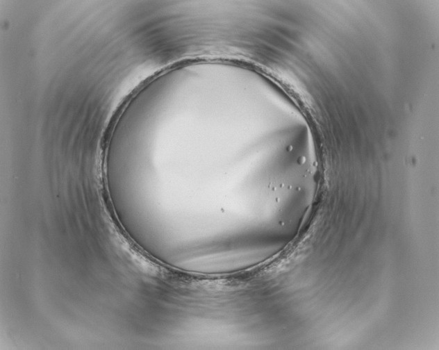 X0000088570990200706151642