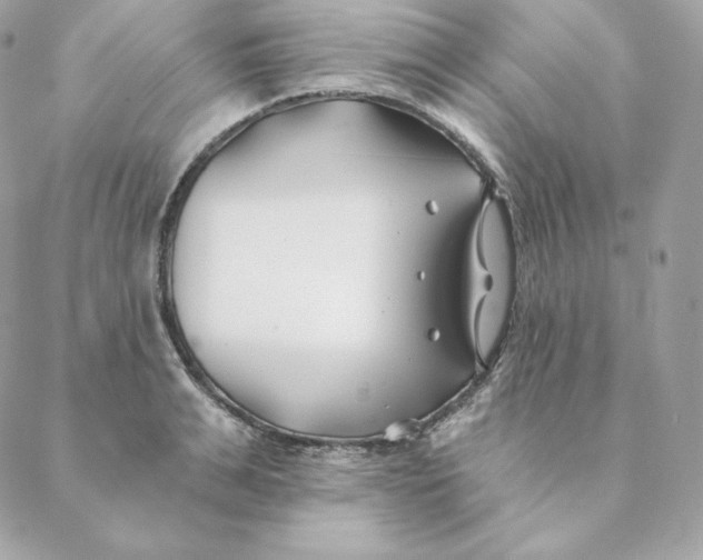 X0000088570991200706151642