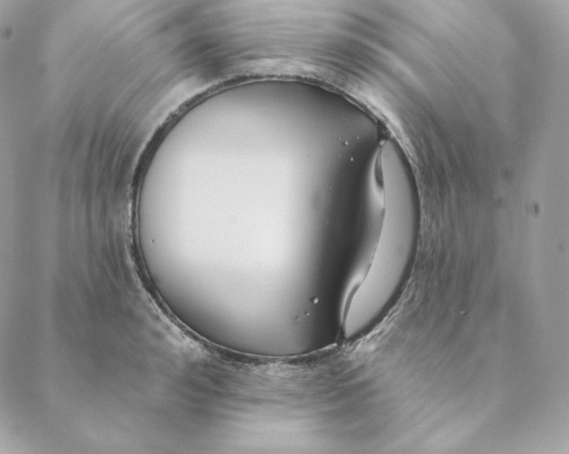 X0000088570992200706151642