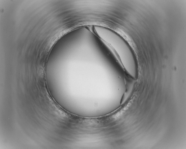 X0000088570993200706151642