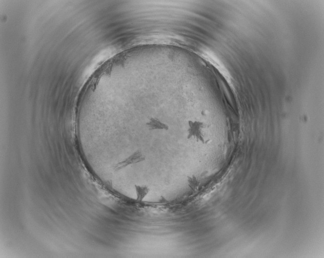 X0000088570994200706151642