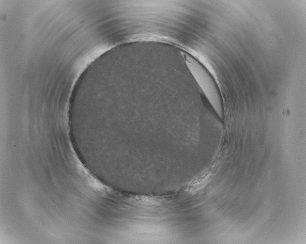 X0000088570995200706151642