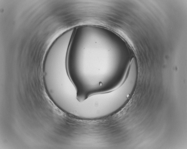 X0000088570996200706151642