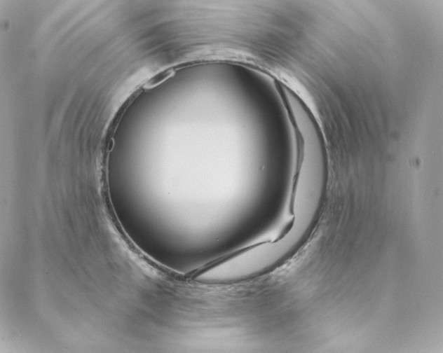 X0000088570997200706151642