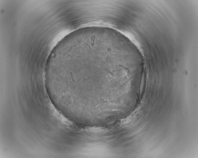 X0000088570998200706151642