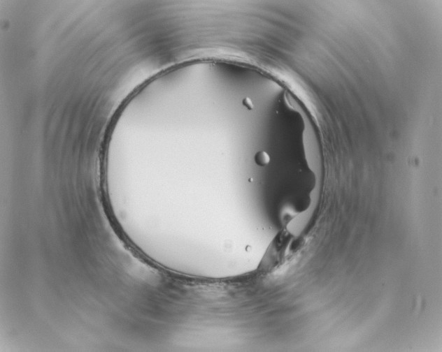 X0000088570999200706151642