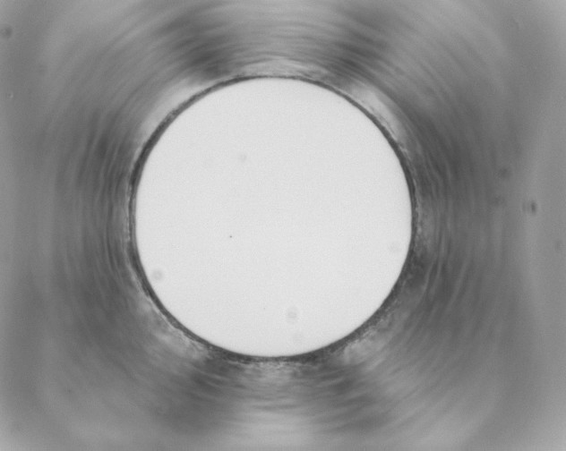 X0000088571000200706151642