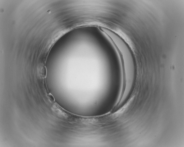 X0000088571001200706151642