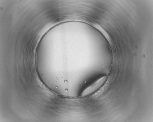 X0000088571004200706151642