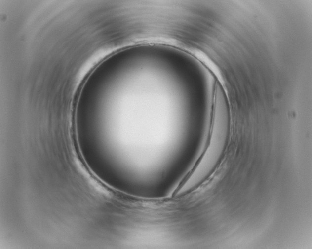 X0000088571005200706151642