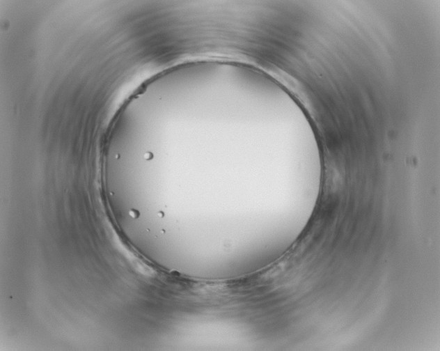 X0000088571006200706151642