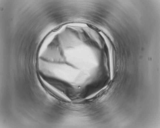 X0000088571007200706151642