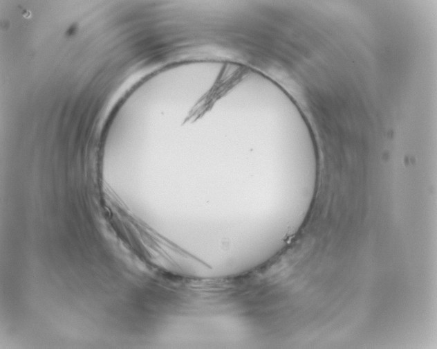 X0000088571008200706151642