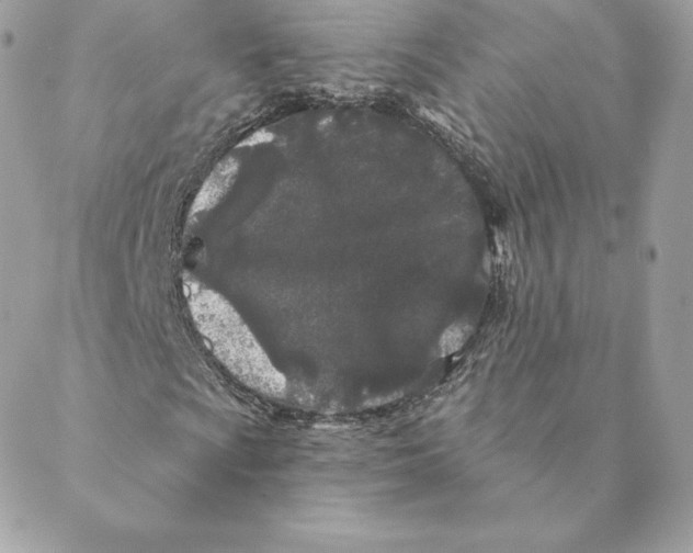 X0000088571009200706151641