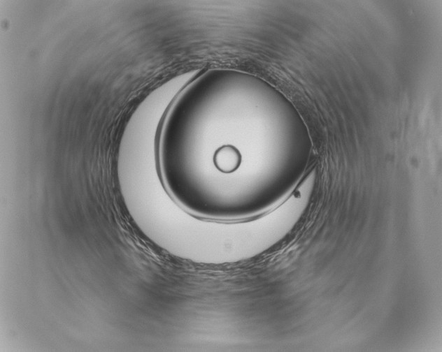 X0000088571010200706151641