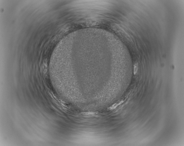 X0000088571011200706151641