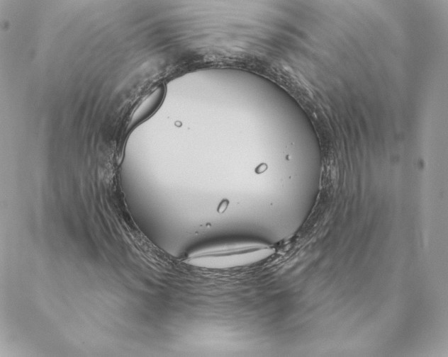 X0000088571012200706151641