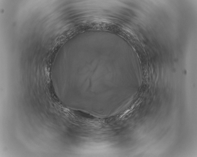 X0000088571013200706151641