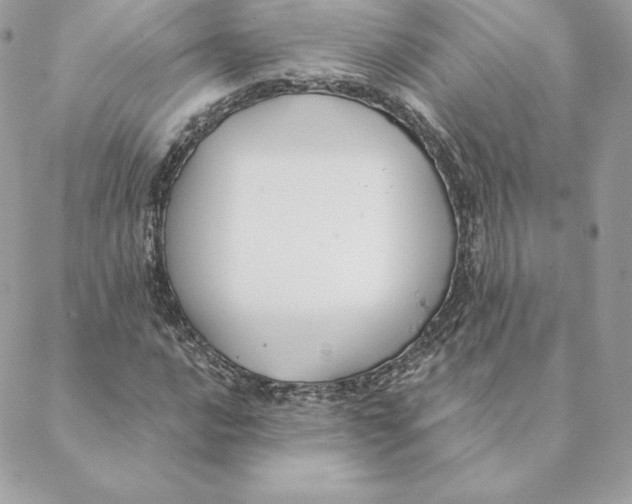 X0000088571016200706151641