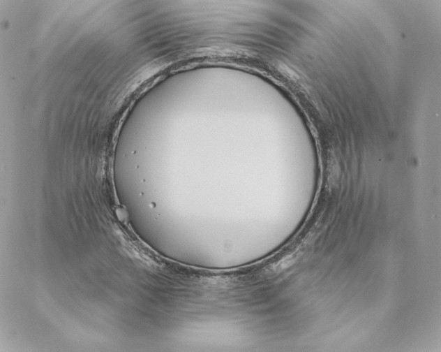 X0000088571017200706151641