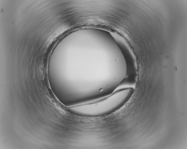 X0000088571018200706151641