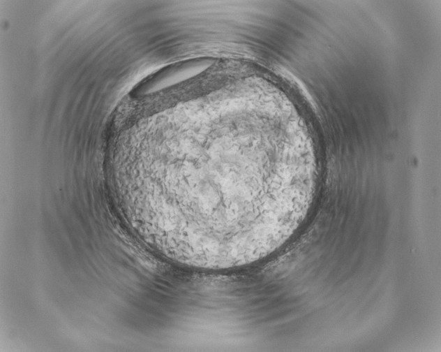 X0000088571019200706151641