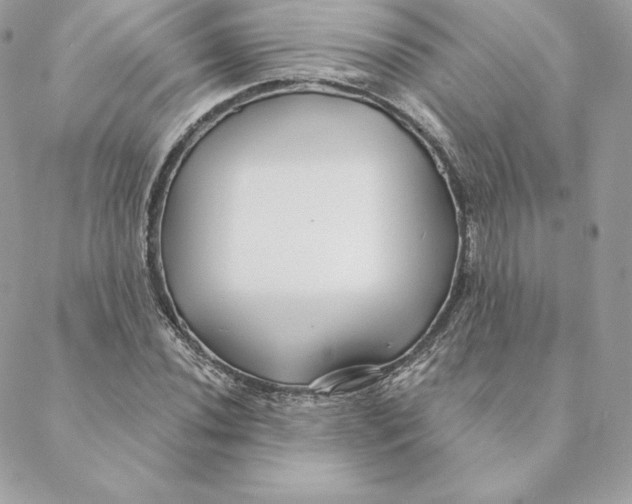 X0000088571020200706151641