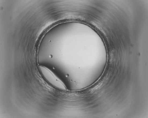 X0000088571021200706151641