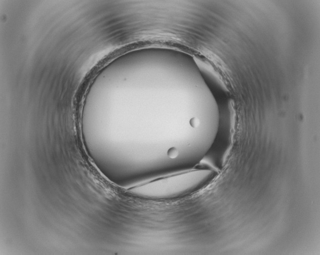 X0000088571022200706151641