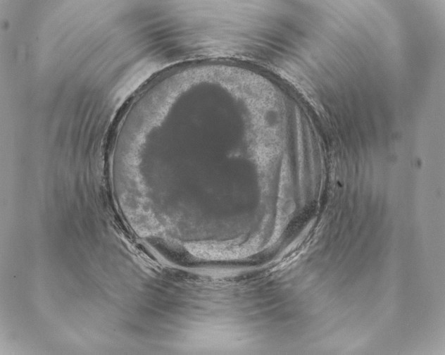 X0000088571023200706151641