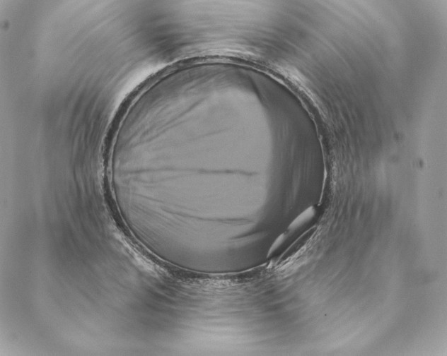 X0000088571024200706151641