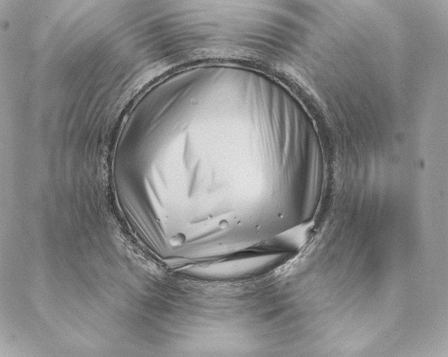 X0000088571025200706151641