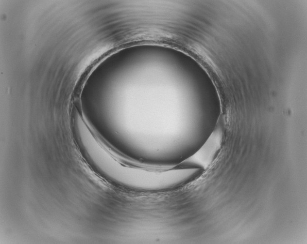 X0000088571026200706151641