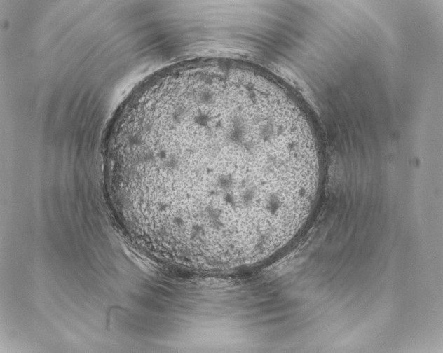 X0000088571027200706151641