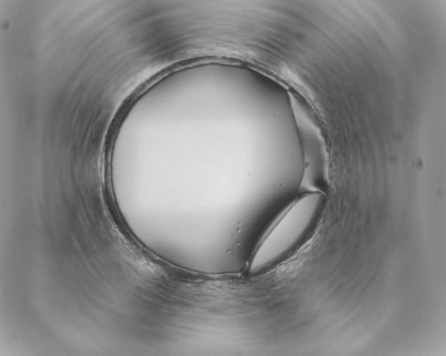 X0000088571028200706151641