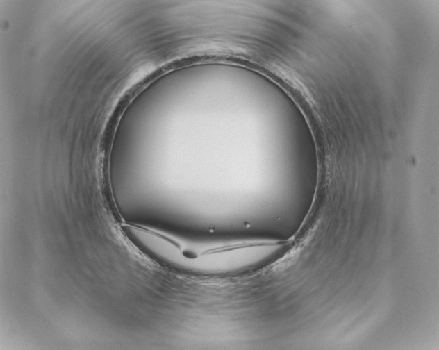 X0000088571029200706151641