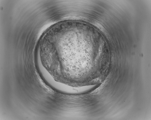 X0000088571030200706151641