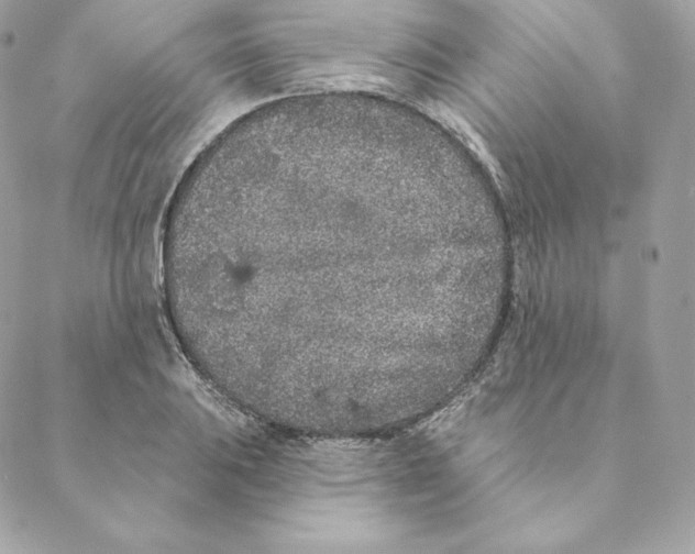 X0000088571031200706151641